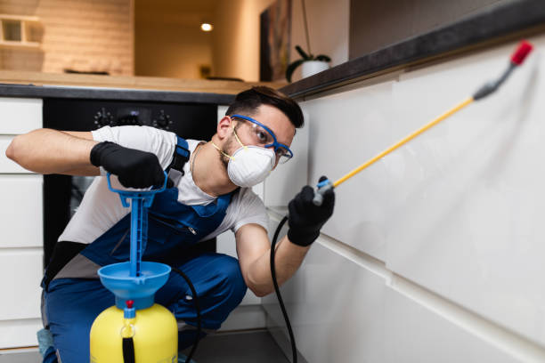 Best Termite Control Services  in Wickenburg, AZ