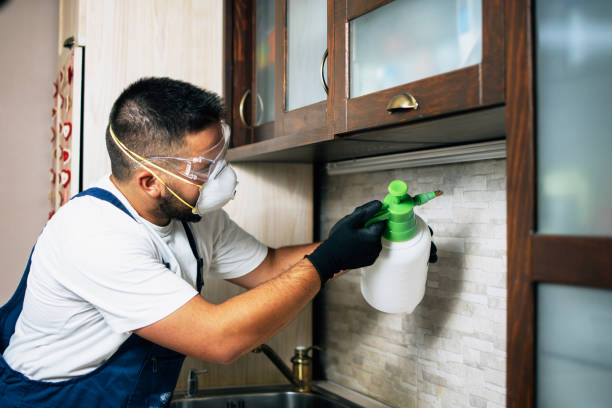 Reliable Wickenburg, AZ Pest Control Solutions