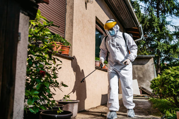 Best Best Pest Control Companies  in Wickenburg, AZ