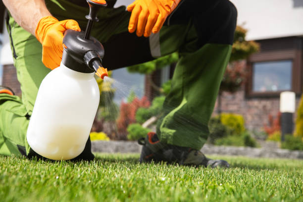 Best Affordable Pest Control Services  in Wickenburg, AZ