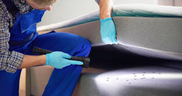 Best Cockroach Control Services  in Wickenburg, AZ