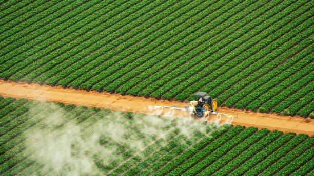 Best Commercial Pest Control Services  in Wickenburg, AZ
